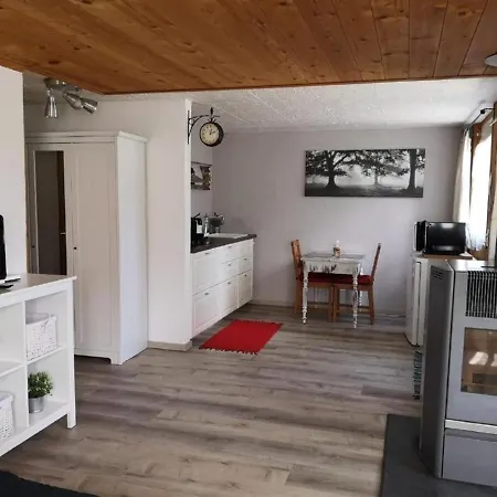 Charmante Ferienwohnung Mitten In Der Apartment Ruschegg